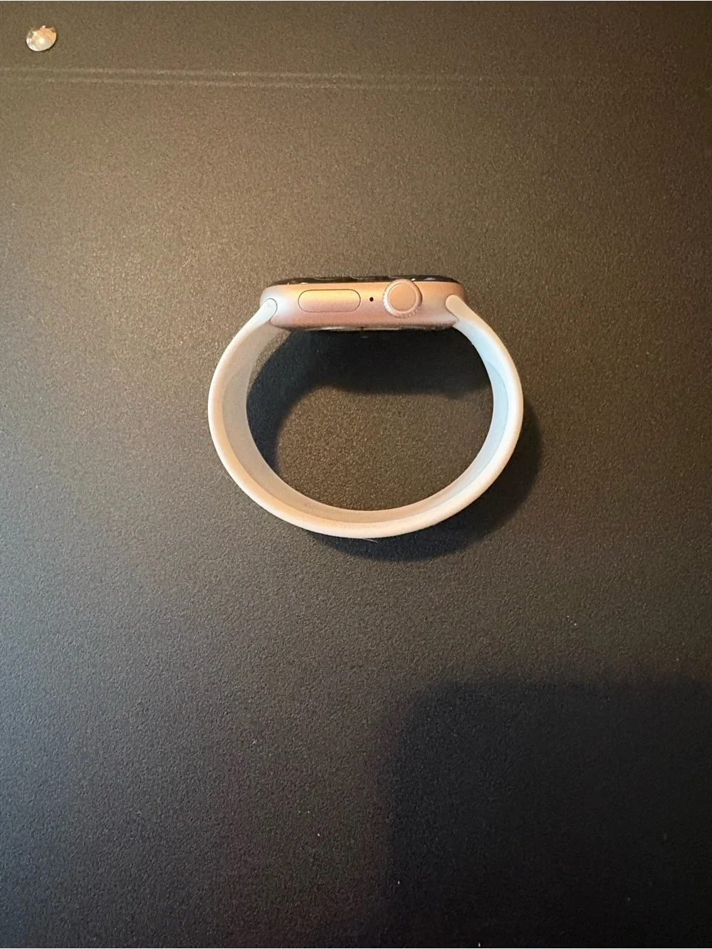 Apple Solo Loop BAND ONLY.
